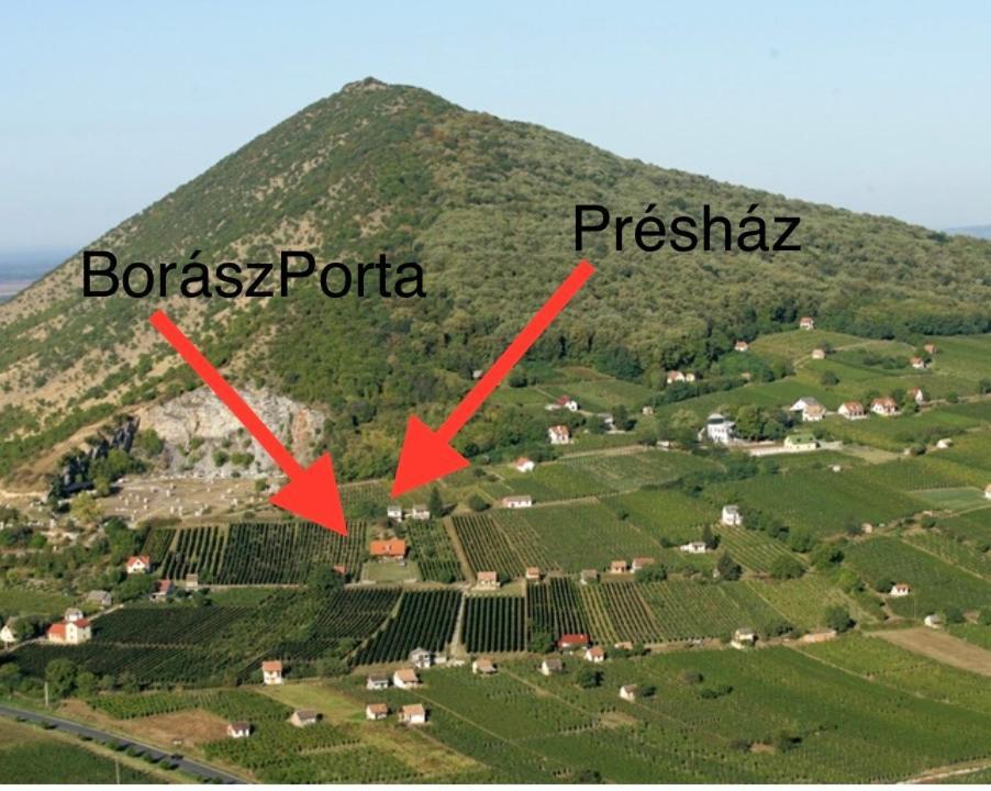BorászPorta - Présház Hotel Villány Kültér fotó