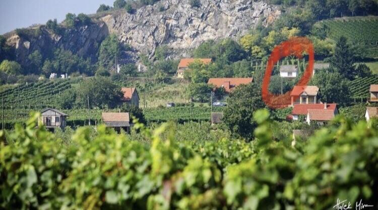 BorászPorta - Présház Hotel Villány Kültér fotó